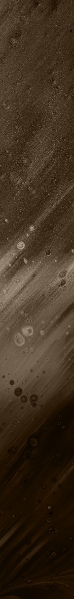 Black and white close-up of a tree.