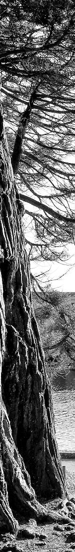 Dark textured background with subtle gradients.